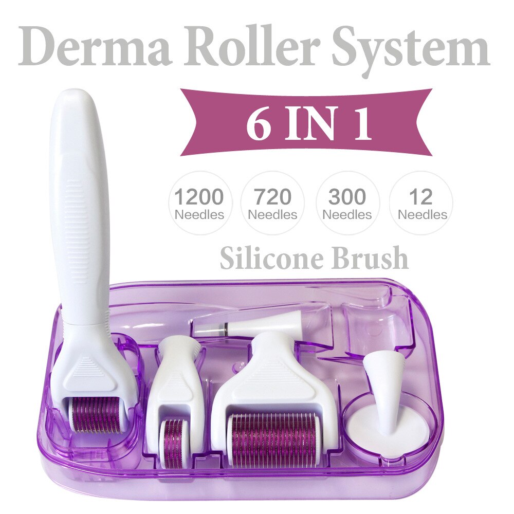 6 in 1 Derma Roller Microneedle Kits